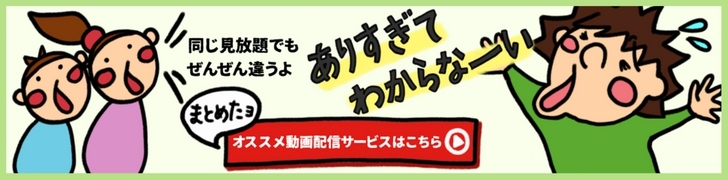 オススメの動画配信サービスまとめ