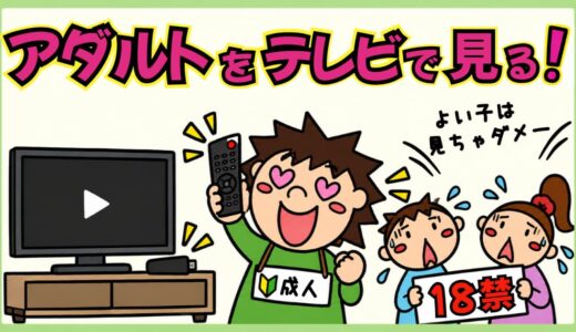 アダルト動画をテレビで見る方法。Fire TV・Chromecast・スマートテレビのサービス別対応まとめ。