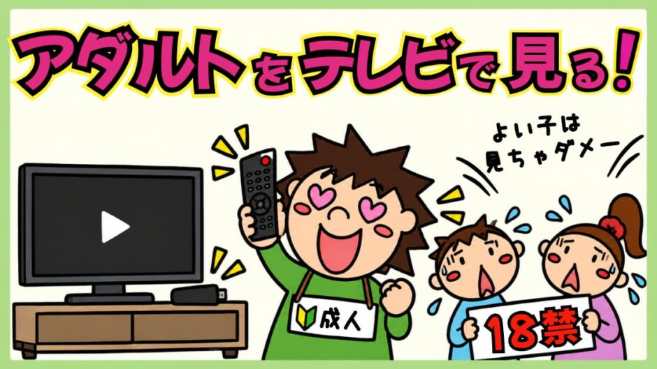 アダルト動画をテレビで見る方法